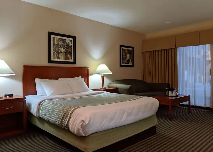 Best Western Premier Ashton Suites - Willowbrook